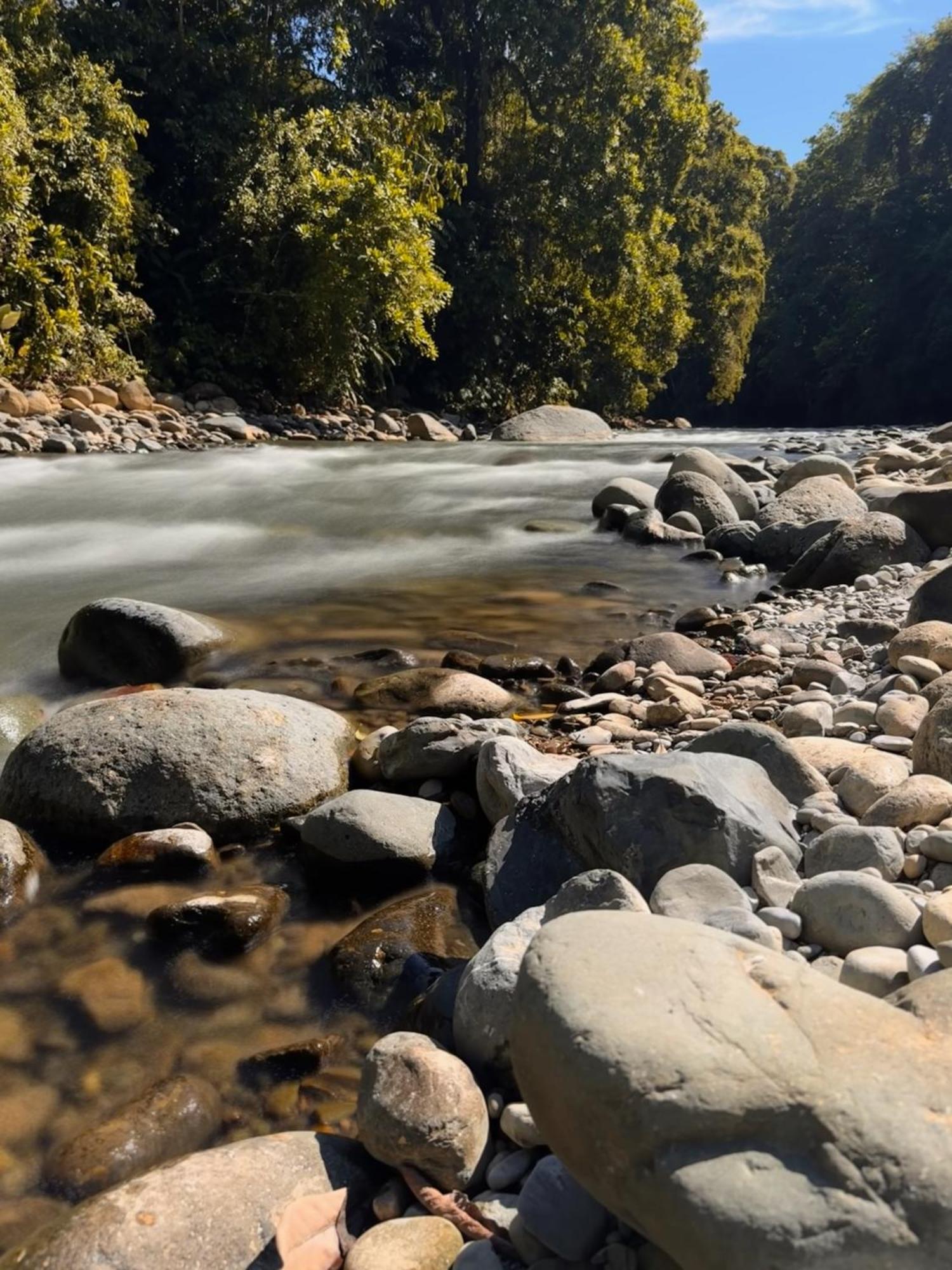 La Comarca River Glamping Dome Near Manuel Antonio Εξωτερικό φωτογραφία